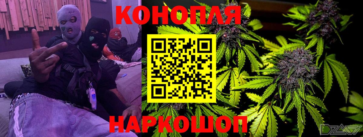 Конопля индика Гудермес
